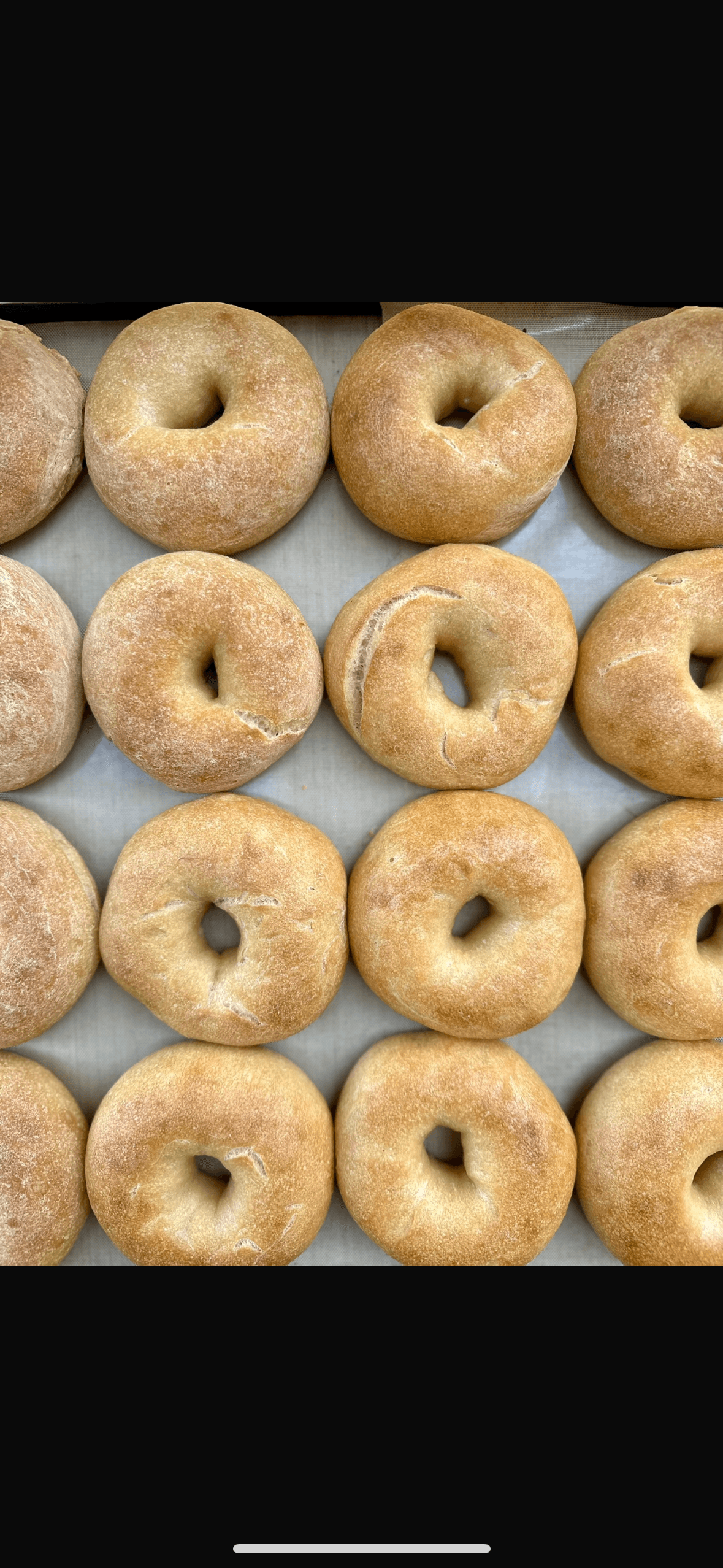 Hamozti GF Sourdough Bagels/4