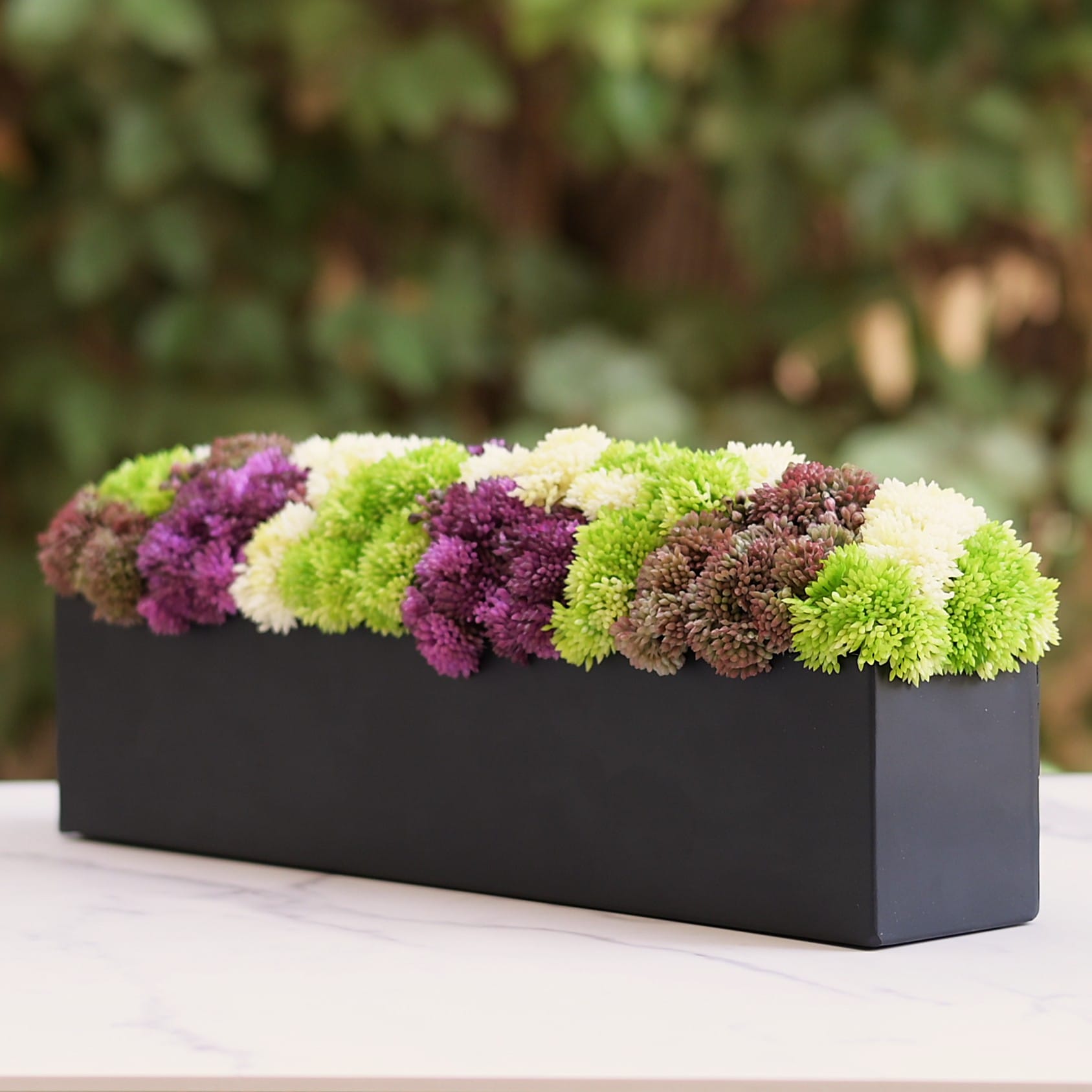 The Modern Luxurious Vivid Sedum Box