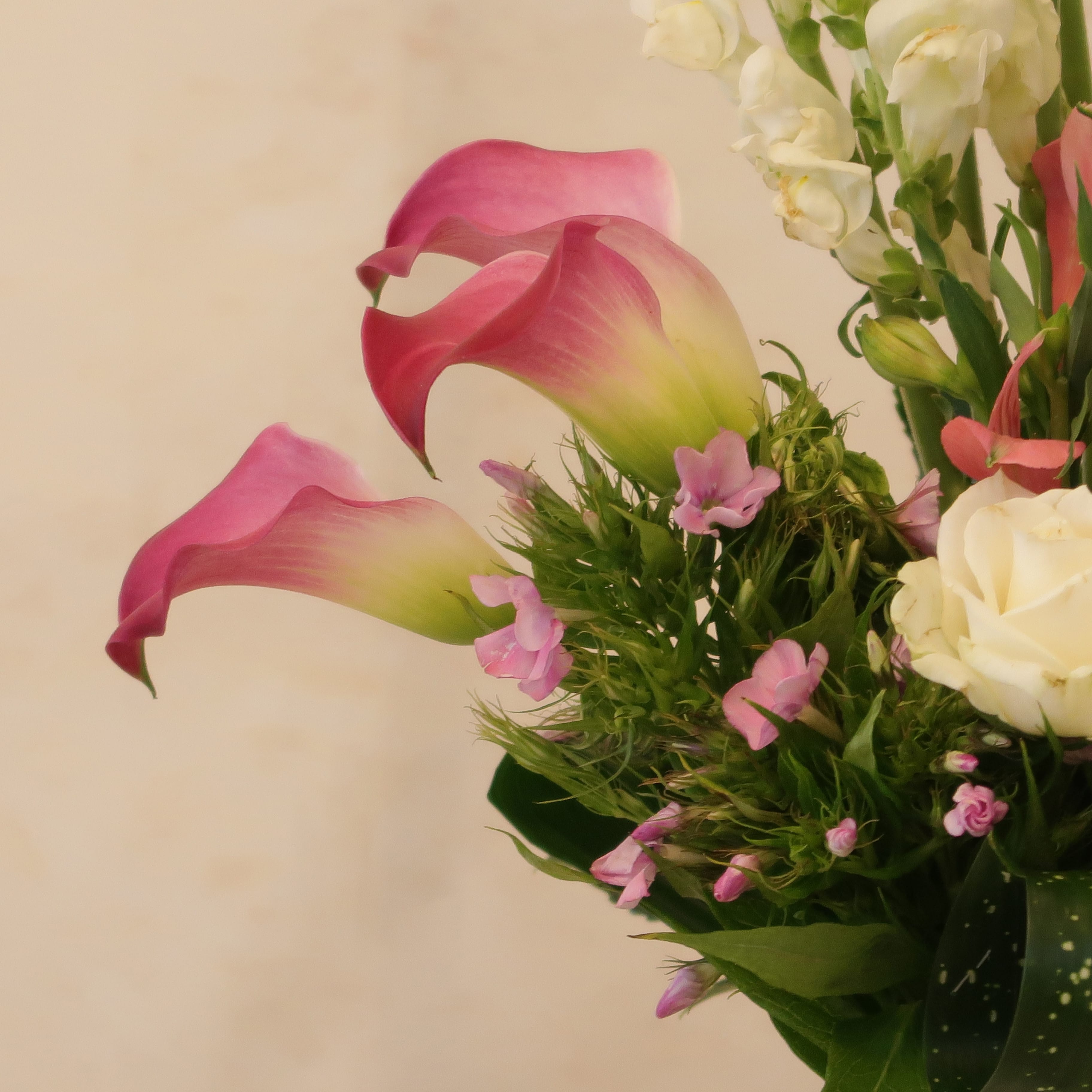 Calla — photo 2