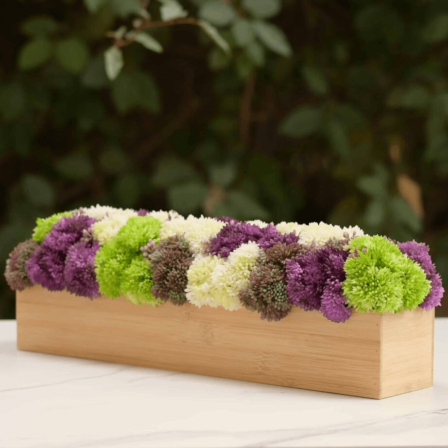 The Vivid Sedum Box
