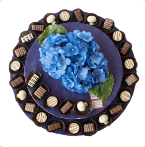Beautiful Blue Board