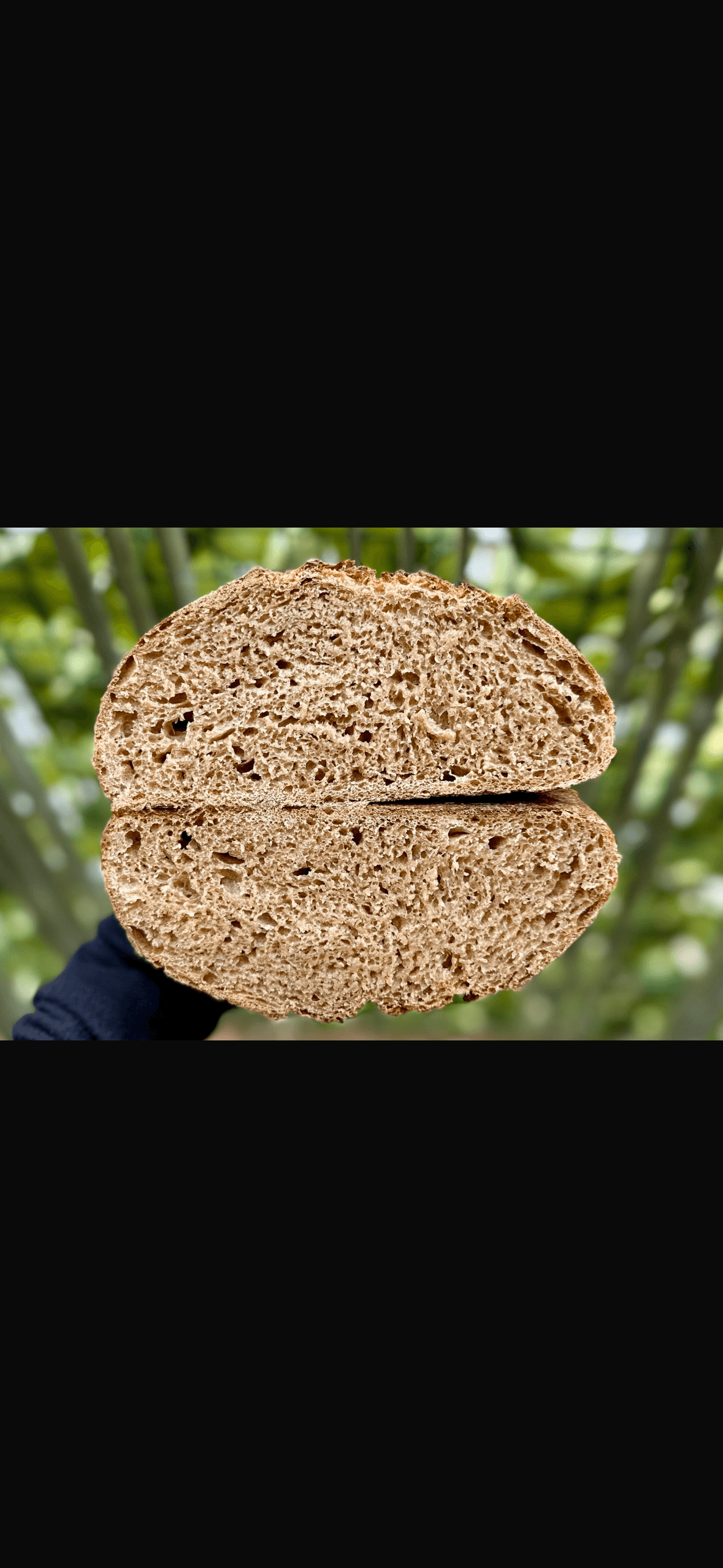 Whole spelt loaf rosh hashana