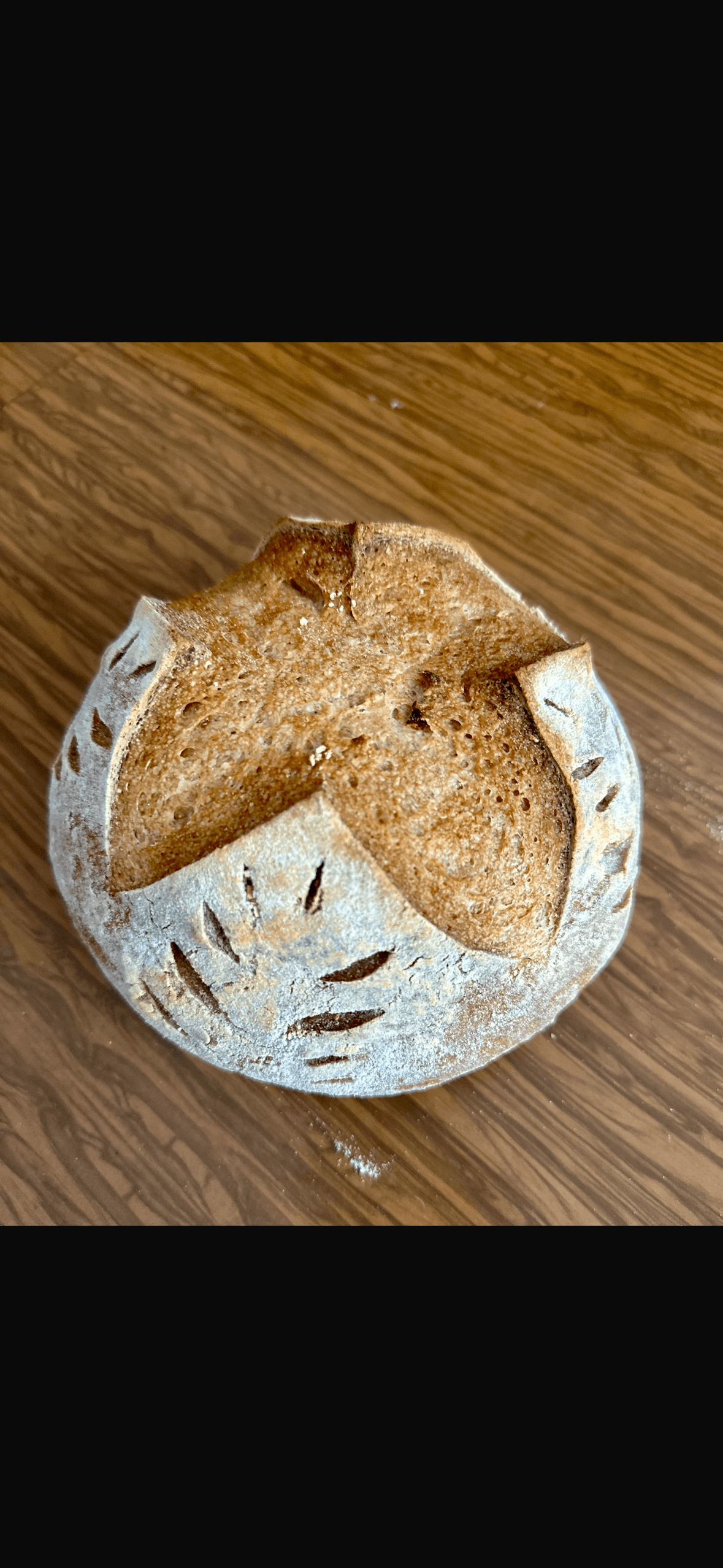Shehakol GF Sourdough Loaf