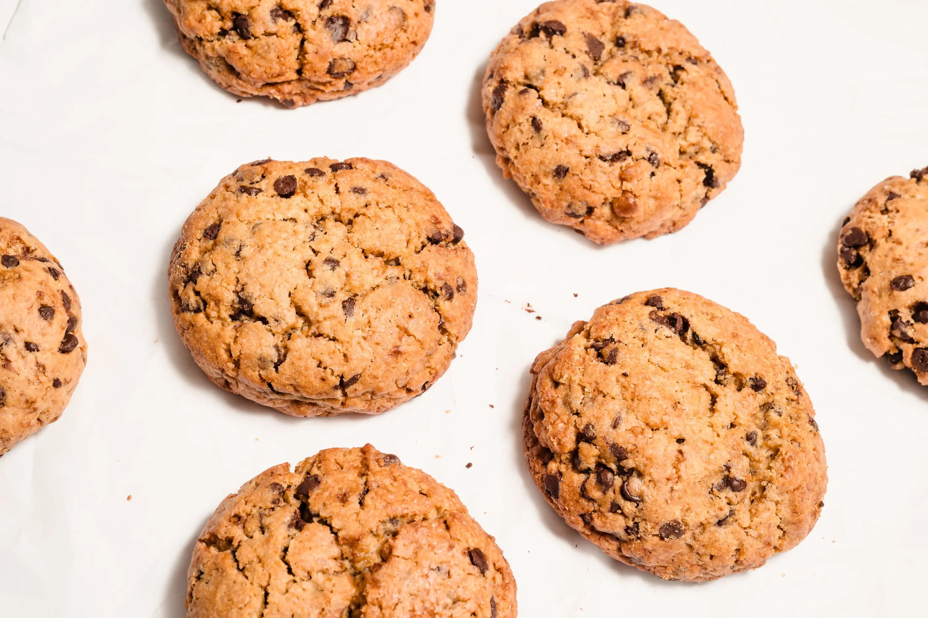 Jumbo Chocolate Chip Cookie